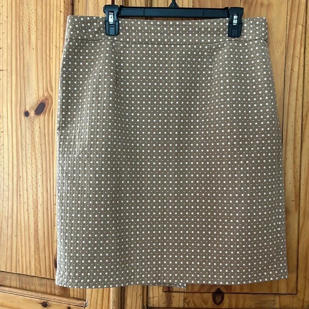 Banana Republic Fully Lined Skirt